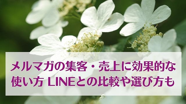 メルマガの集客・売上に効果的な使い方 LINEとの比較や選び方も　ゆったり豊かに 愛され起業ライティング　レクチャータイトル